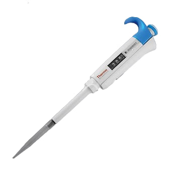 photo_2025-01-10_11-38-22
